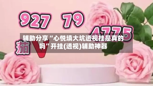 辅助分享“心悦填大坑透视挂是真的吗	”开挂(透视)辅助神器-第1张图片