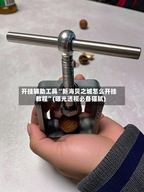 开挂辅助工具“新海贝之城怎么开挂教程”(曝光透视必备猫腻)-第2张图片