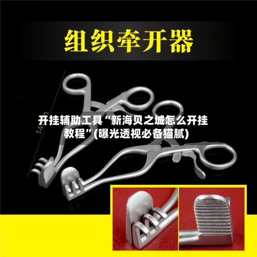 开挂辅助工具“新海贝之城怎么开挂教程”(曝光透视必备猫腻)-第3张图片
