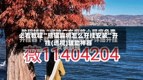必看教程“熊猫麻将怎么开挂安装”开挂(透视)辅助神器-第1张图片