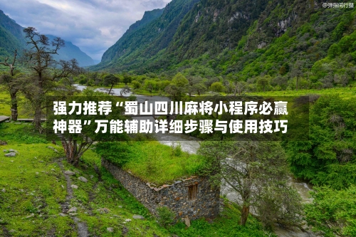 强力推荐“蜀山四川麻将小程序必赢神器	”万能辅助详细步骤与使用技巧-第2张图片