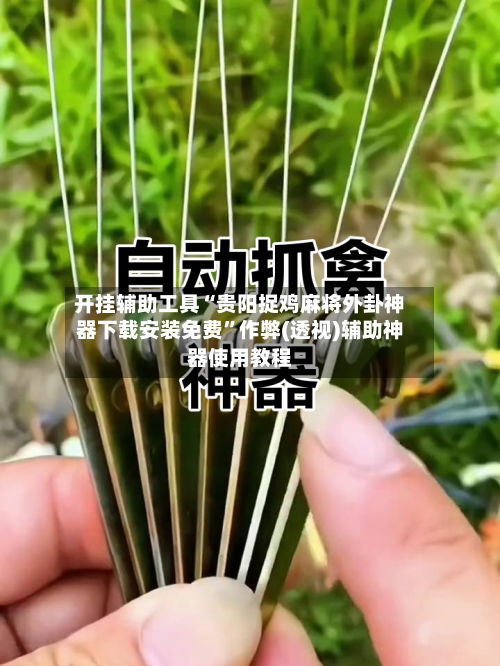 开挂辅助工具“贵阳捉鸡麻将外卦神器下载安装免费”作弊(透视)辅助神器使用教程-第2张图片