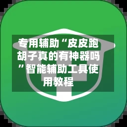 专用辅助“皮皮跑胡子真的有神器吗	”智能辅助工具使用教程-第1张图片