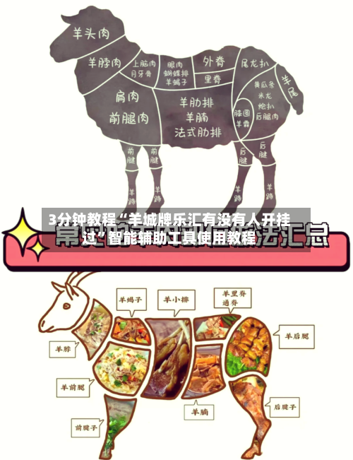 3分钟教程“羊城牌乐汇有没有人开挂过”智能辅助工具使用教程-第1张图片