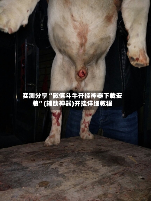 实测分享“微信斗牛开挂神器下载安装	”(辅助神器)开挂详细教程-第2张图片