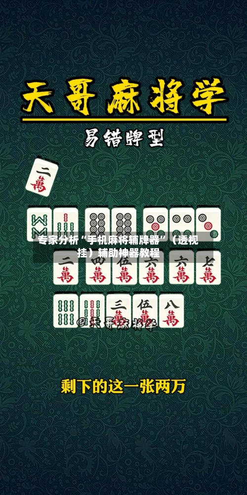 专家分析“手机麻将辅牌器”（透视挂）辅助神器教程-第3张图片