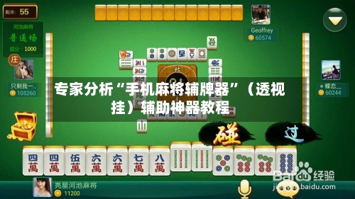 专家分析“手机麻将辅牌器”（透视挂）辅助神器教程-第1张图片