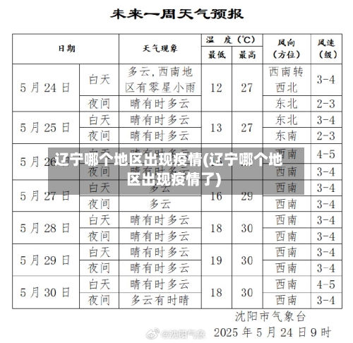 辽宁哪个地区出现疫情(辽宁哪个地区出现疫情了)-第1张图片