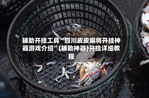 辅助开挂工具“四川皮皮麻将开挂神器游戏介绍	”(辅助神器)开挂详细教程-第3张图片
