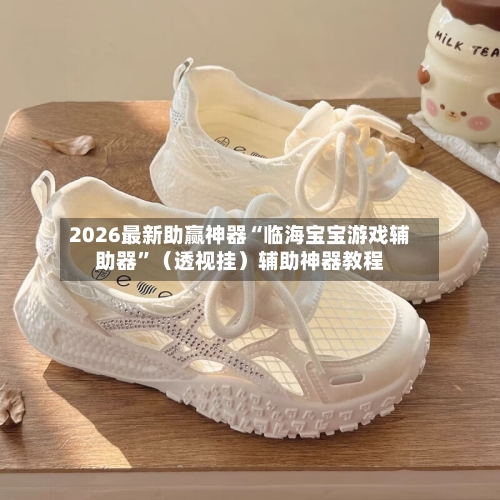 2026最新助赢神器“临海宝宝游戏辅助器”（透视挂）辅助神器教程-第3张图片
