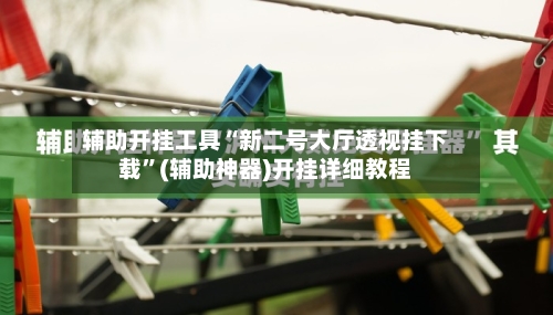 辅助开挂工具“新二号大厅透视挂下载”(辅助神器)开挂详细教程-第2张图片