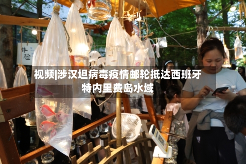 视频|涉汉坦病毒疫情邮轮抵达西班牙特内里费岛水域-第1张图片