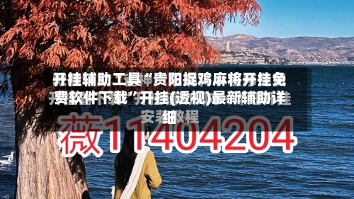 开挂辅助工具“贵阳捉鸡麻将开挂免费软件下载	”开挂(透视)最新辅助详细-第2张图片