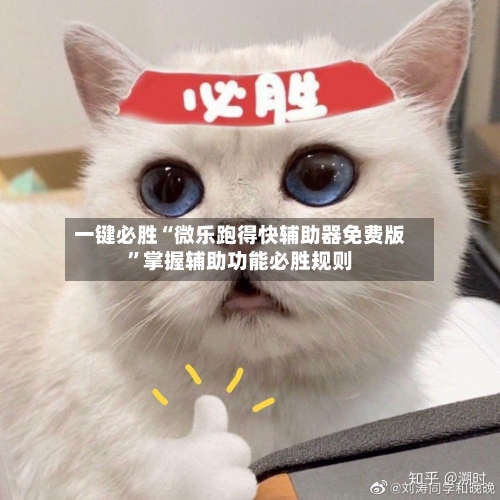 一键必胜“微乐跑得快辅助器免费版”掌握辅助功能必胜规则-第3张图片