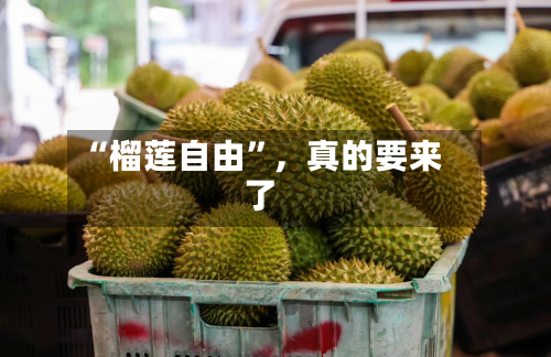 “榴莲自由	”	，真的要来了-第1张图片