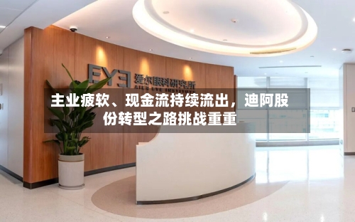 主业疲软、现金流持续流出，迪阿股份转型之路挑战重重-第1张图片