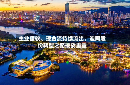 主业疲软	、现金流持续流出	，迪阿股份转型之路挑战重重-第2张图片