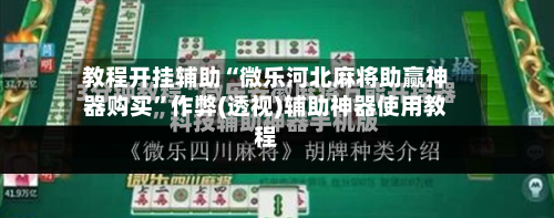 教程开挂辅助“微乐河北麻将助赢神器购买”作弊(透视)辅助神器使用教程-第2张图片