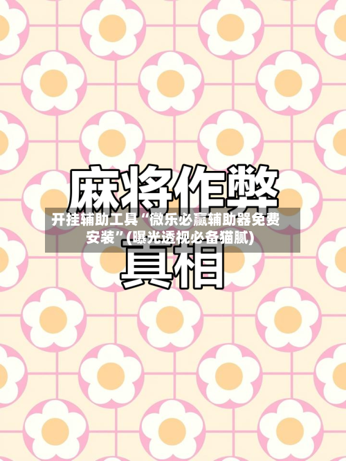 开挂辅助工具“微乐必赢辅助器免费安装”(曝光透视必备猫腻)-第2张图片