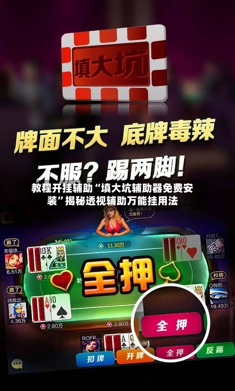 教程开挂辅助“填大坑辅助器免费安装”揭秘透视辅助万能挂用法-第1张图片