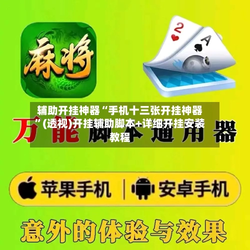 辅助开挂神器“手机十三张开挂神器	”(透视)开挂辅助脚本+详细开挂安装教程-第1张图片