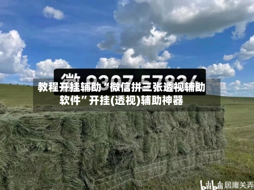 教程开挂辅助“微信拼三张透视辅助软件	”开挂(透视)辅助神器-第1张图片