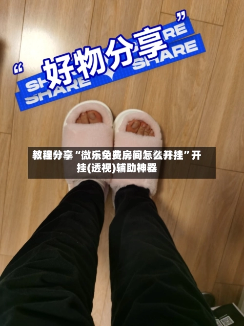 教程分享“微乐免费房间怎么开挂	”开挂(透视)辅助神器-第2张图片