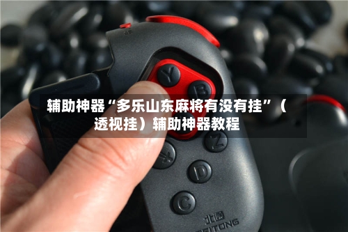 辅助神器“多乐山东麻将有没有挂”（透视挂）辅助神器教程-第3张图片