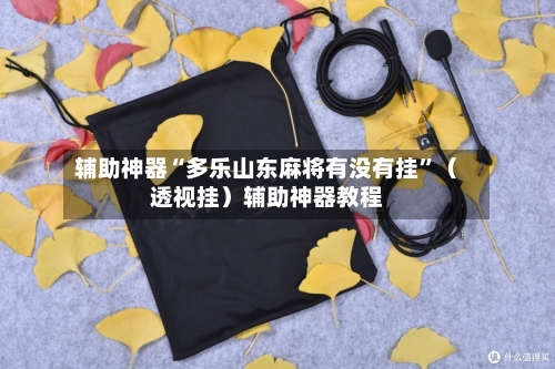 辅助神器“多乐山东麻将有没有挂”（透视挂）辅助神器教程-第2张图片