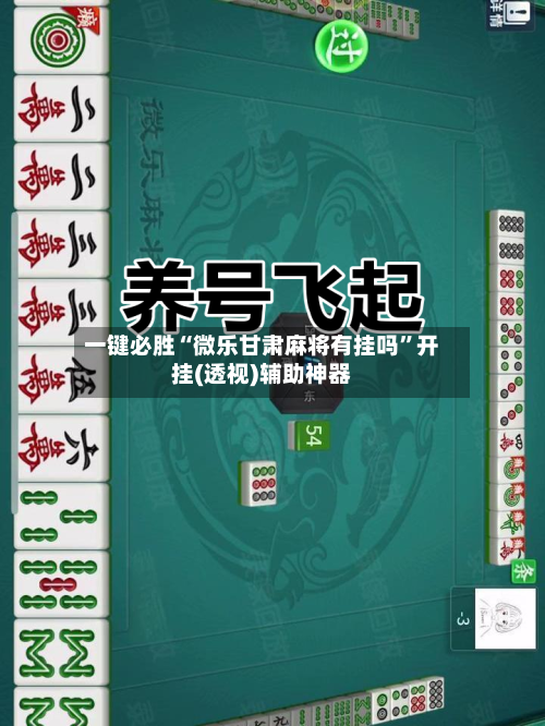一键必胜“微乐甘肃麻将有挂吗	”开挂(透视)辅助神器-第3张图片