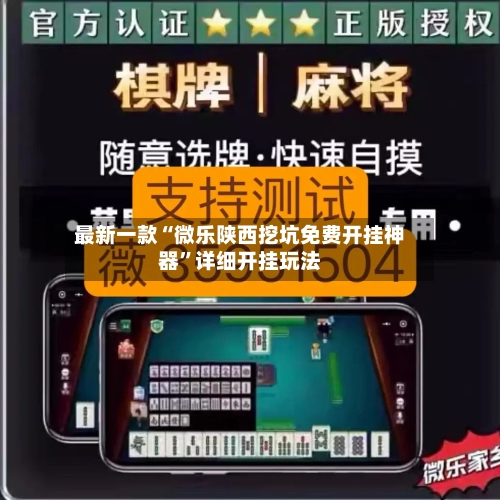 最新一款“微乐陕西挖坑免费开挂神器”详细开挂玩法-第1张图片