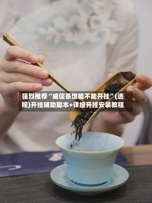 强烈推荐“威信茶馆能不能开挂”(透视)开挂辅助脚本+详细开挂安装教程-第2张图片