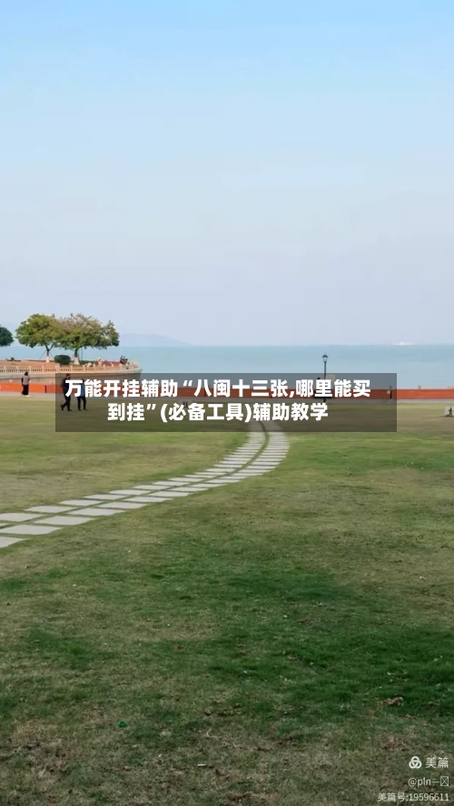 万能开挂辅助“八闽十三张,哪里能买到挂	”(必备工具)辅助教学-第2张图片