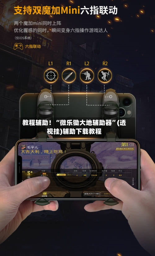 教程辅助！“微乐锄大地辅助器”(透视挂)辅助下载教程-第3张图片