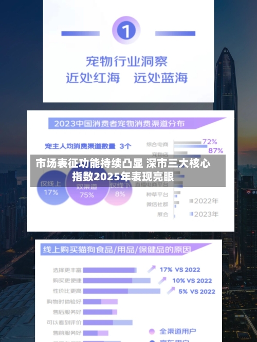 市场表征功能持续凸显 深市三大核心指数2025年表现亮眼-第3张图片