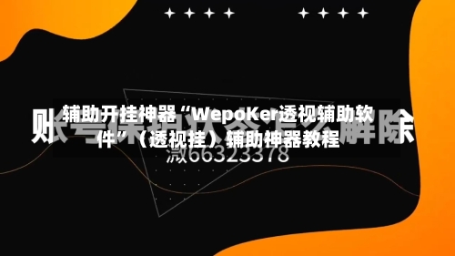 辅助开挂神器“WepoKer透视辅助软件”（透视挂）辅助神器教程-第2张图片