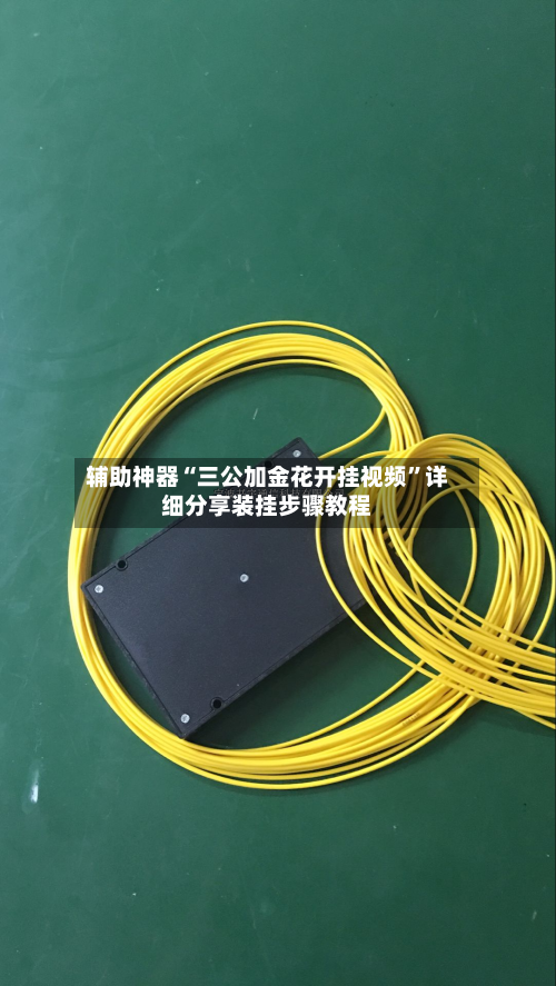 辅助神器“三公加金花开挂视频”详细分享装挂步骤教程-第1张图片