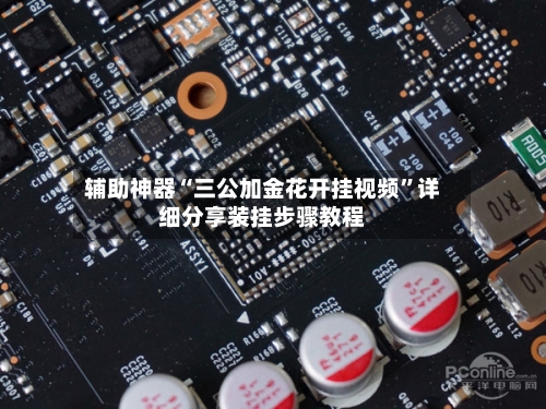 辅助神器“三公加金花开挂视频”详细分享装挂步骤教程-第2张图片
