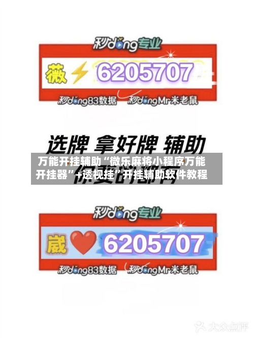 万能开挂辅助“微乐麻将小程序万能开挂器”+透视挂	”开挂辅助软件教程-第3张图片