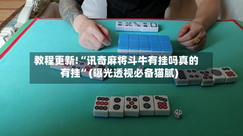 教程更新!“讯奇麻将斗牛有挂吗真的有挂”(曝光透视必备猫腻)-第2张图片