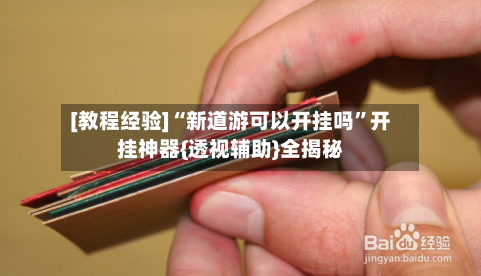[教程经验]“新道游可以开挂吗”开挂神器{透视辅助}全揭秘-第3张图片