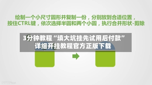3分钟教程“填大坑挂先试用后付款	”详细开挂教程官方正版下载-第2张图片
