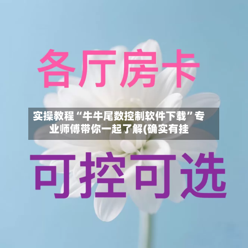 实操教程“牛牛尾数控制软件下载”专业师傅带你一起了解(确实有挂-第1张图片