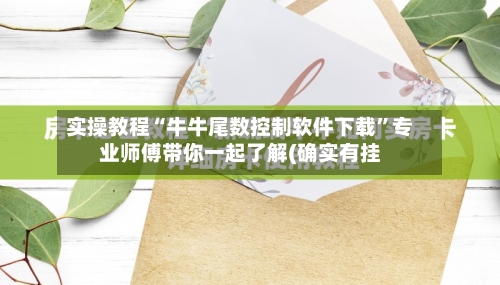 实操教程“牛牛尾数控制软件下载	”专业师傅带你一起了解(确实有挂-第2张图片