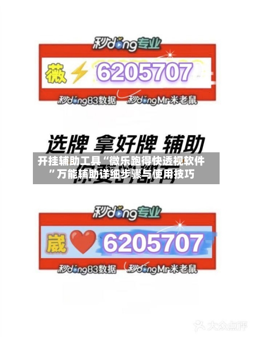 开挂辅助工具“微乐跑得快透视软件”万能辅助详细步骤与使用技巧-第2张图片