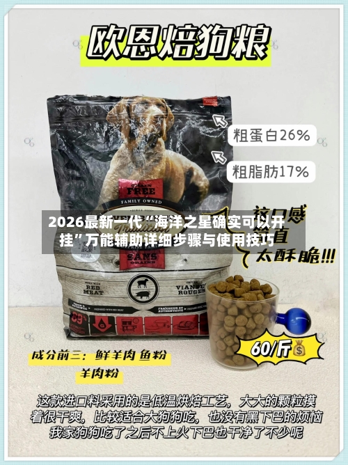 2026最新一代“海洋之星确实可以开挂”万能辅助详细步骤与使用技巧-第1张图片