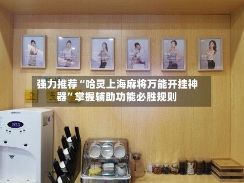 强力推荐“哈灵上海麻将万能开挂神器”掌握辅助功能必胜规则-第1张图片