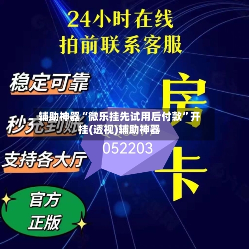 辅助神器“微乐挂先试用后付款”开挂(透视)辅助神器-第1张图片