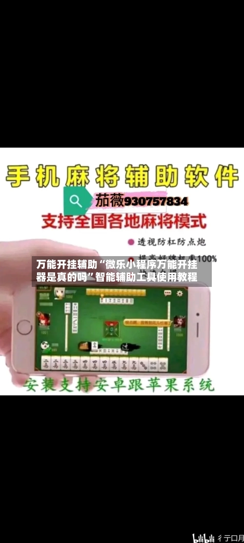 万能开挂辅助“微乐小程序万能开挂器是真的吗	”智能辅助工具使用教程-第1张图片