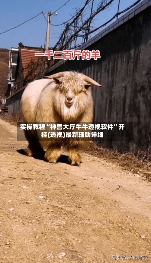 实操教程“神兽大厅牛牛透视软件”开挂(透视)最新辅助详细-第1张图片